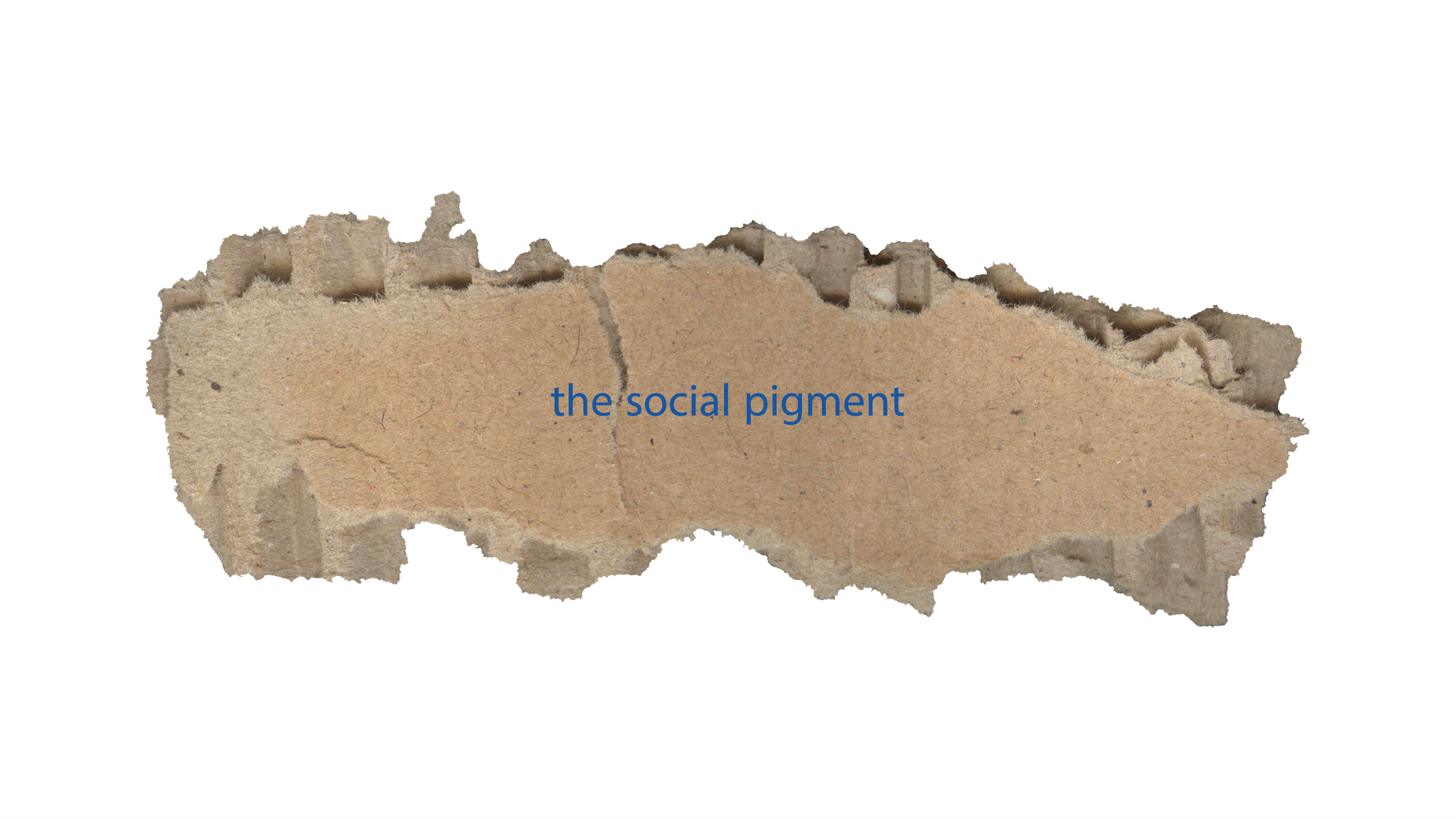 social pigment banner.png
