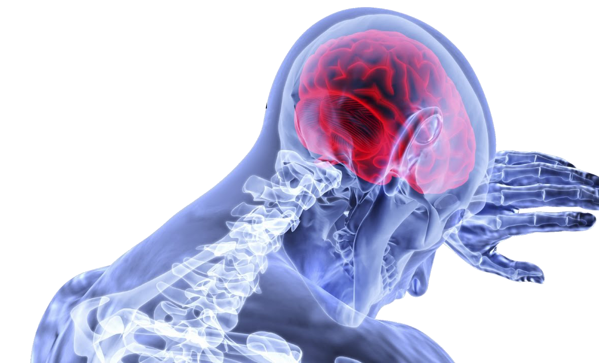 ConcussionFAQ page.png