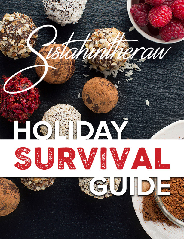 HolidaySurvivalGuideCover-2D.jpg