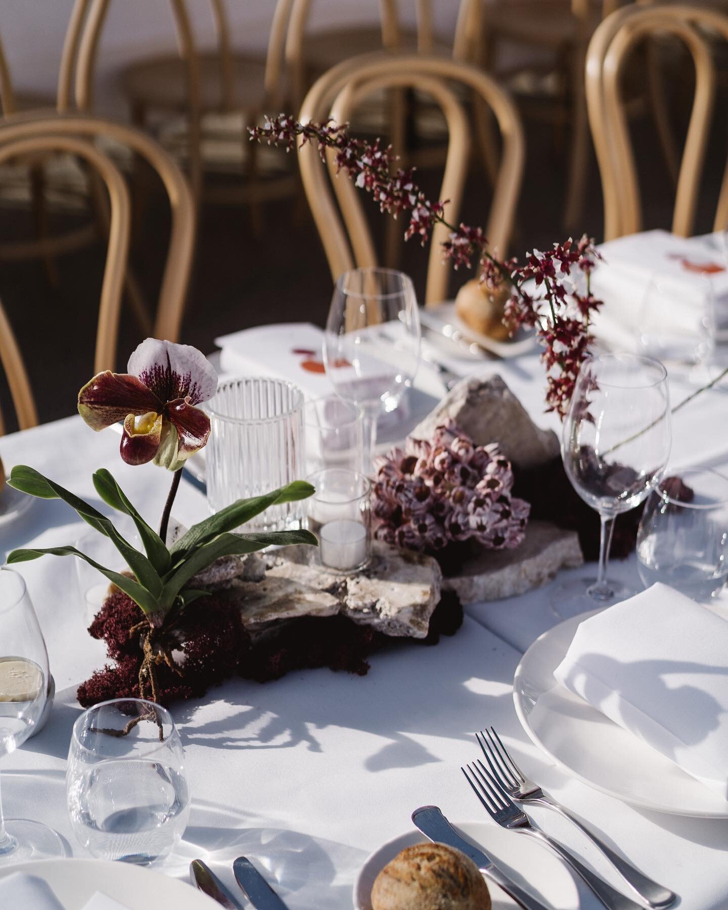 Yummy details from Amelia and Matt&rsquo;s gorgeous wedding. 

Can we please take a minute to appreciate the perfection that is the slipper orchid. 

Photographer: @alexmarksphotography 
Venue: @monafarm_ 

⁠ 
⁠
⁠
⁠
⁠
⁠
⁠
⁠
⁠
⁠
⁠
⁠
⁠
⁠
⁠
⁠
⁠
⁠
⁠
⁠
⁠
