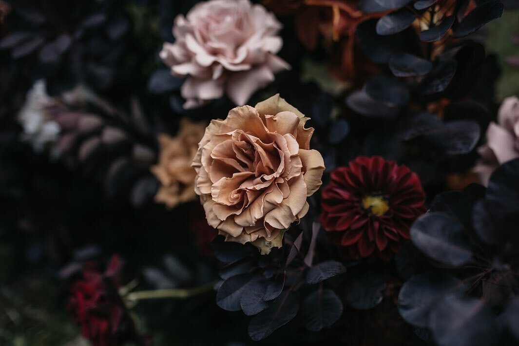 So many beautiful images of Isabelle and Tim&rsquo;s moody ceremony. 

Make sure to swipe through for all the stunning details!

Captured by the talented duo: @fionaandbobby 
Venue: Wendy&rsquo;s Secret Garden 
Furniture: @bentwoodevents 
Music Duo: 