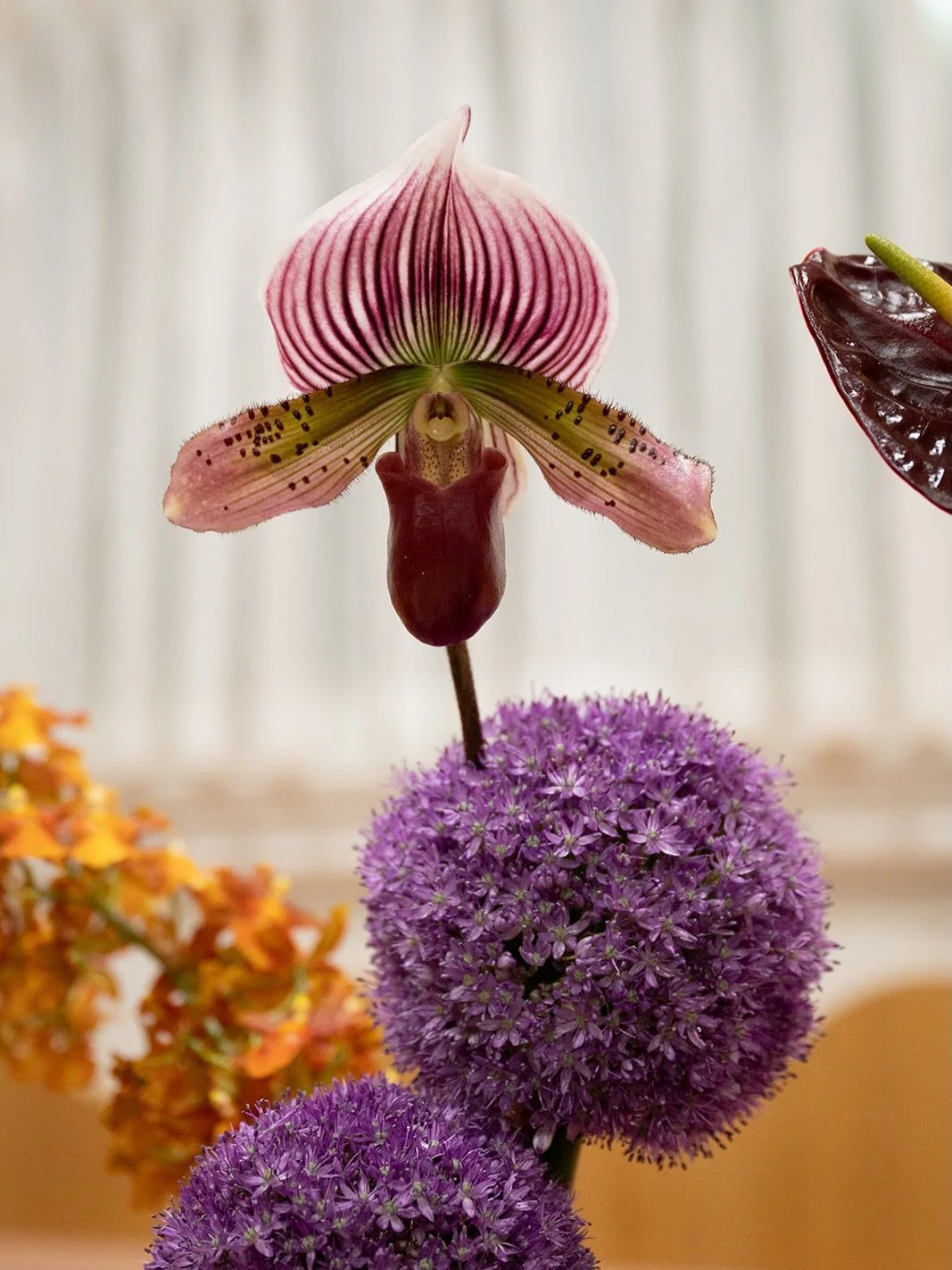 Forever terrible at posting. Maybe it&rsquo;s time for someone to come along and take over for me?!

Back to my favs that I created all for myself! My colourful and textured table scape from my birthday last year. 

Photographer | @emandthewildthings
