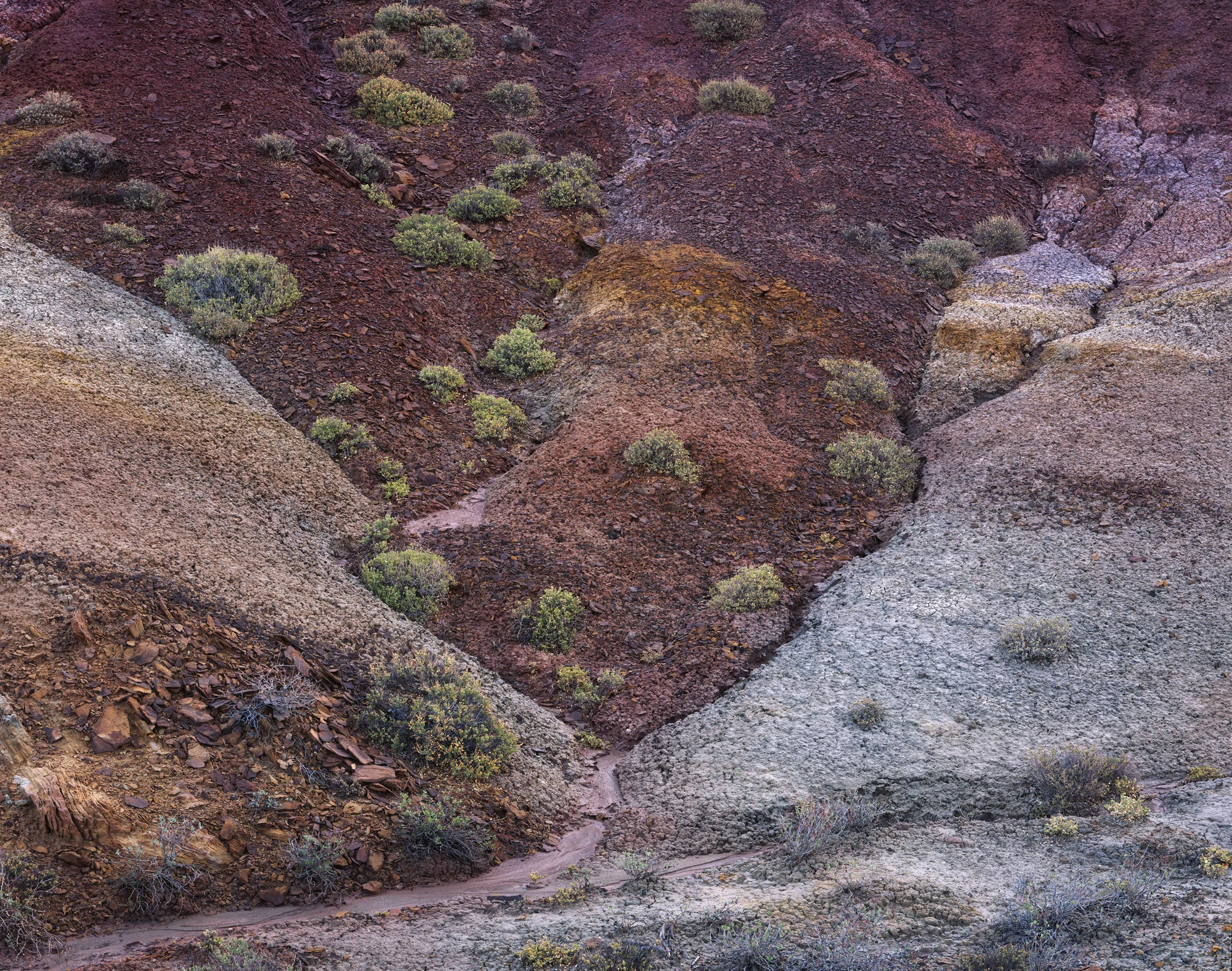   Convergence  | Capitol Reef National Park, Utah (2016) 