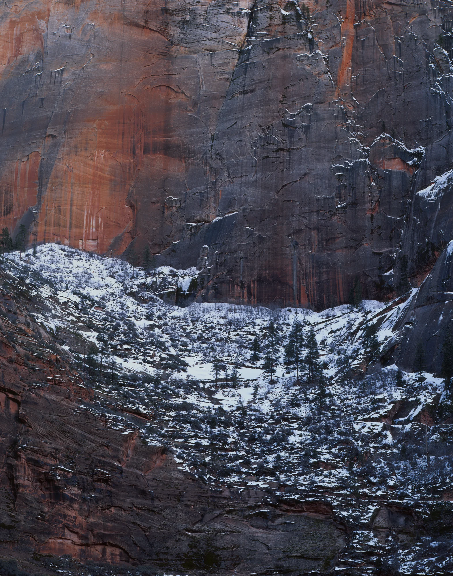 Canyon Wall | Zion National Park, Utah