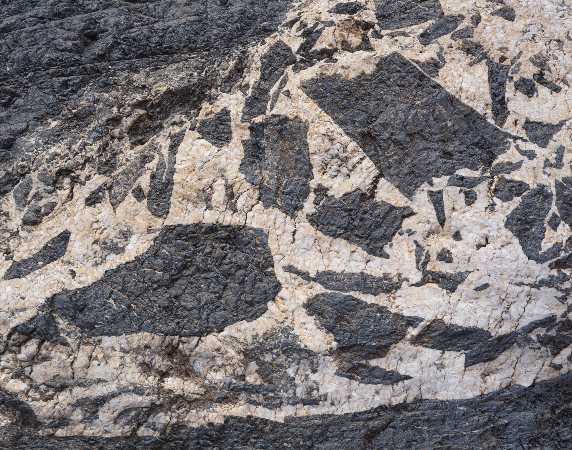 Shattered | After my Ebony camera was destroyed on the morning of Day 4, the main canyon was still very windy. I drove to Titus canyon so I could expose some film to help me feel productive. I chose some low hanging fruit -- in this case, a rock wall with some very interesting patterns. I am still learning how to best use the Ritter 8x10 camera, so I needed to find an easy subject. I think the subject and title are very fitting given what happened earlier that morning. ( Fuji Velvia 50 | Ritter 8x10 camera | Fujinon 300C lens | Several second exposure @ f/45 )