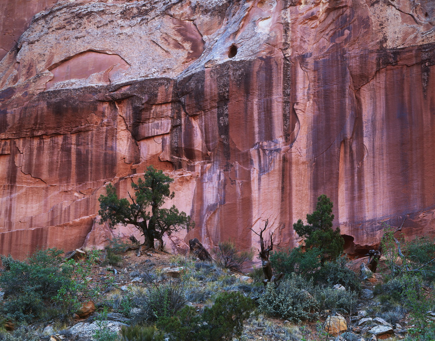 Sandstone & Juniper | Ebony RW810 | Fujinon 600C Lens | Fuji Velvia 50 | Several seconds @ f/45