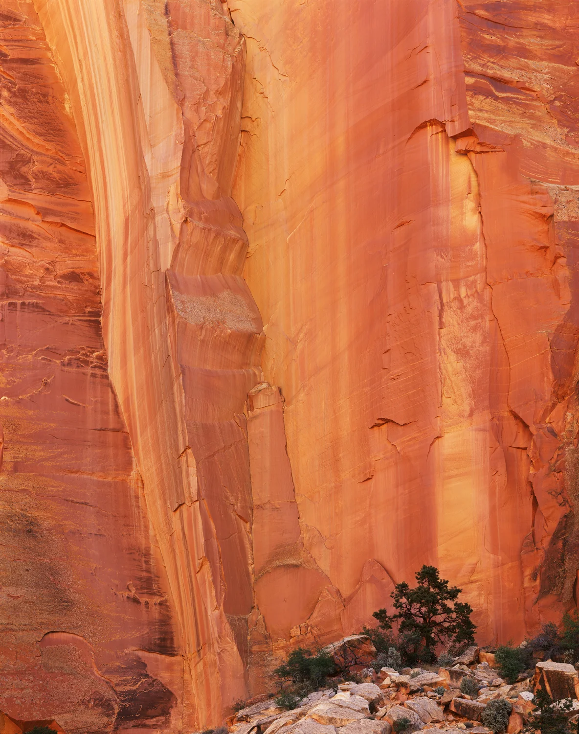 Insurmountable | Ebony RW810 | Fuji 600C Lens | Velvia 50 8x10 | One second @ f/45