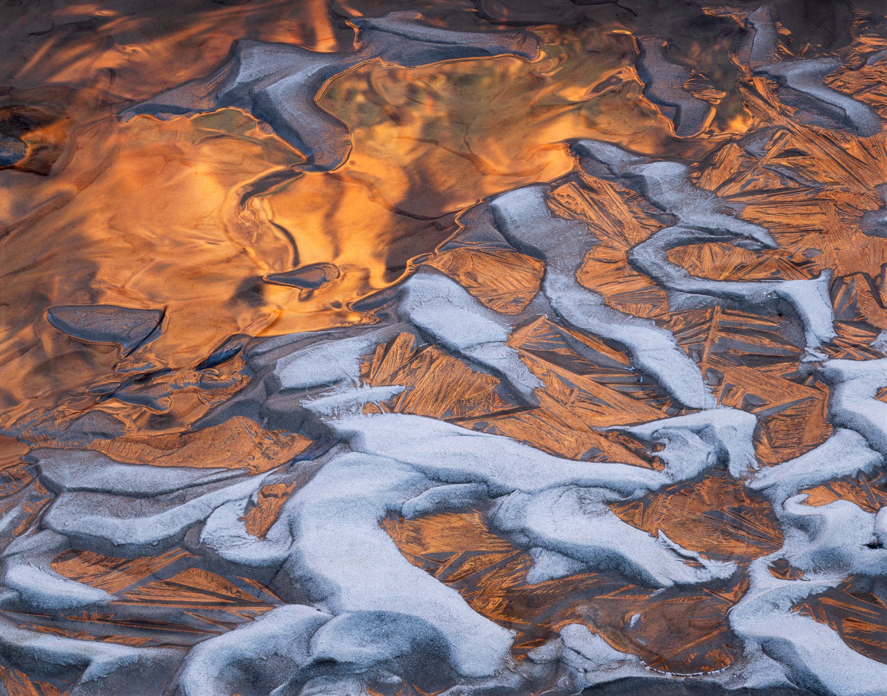 Frozen Light | Zion National Park, Utah (2019)