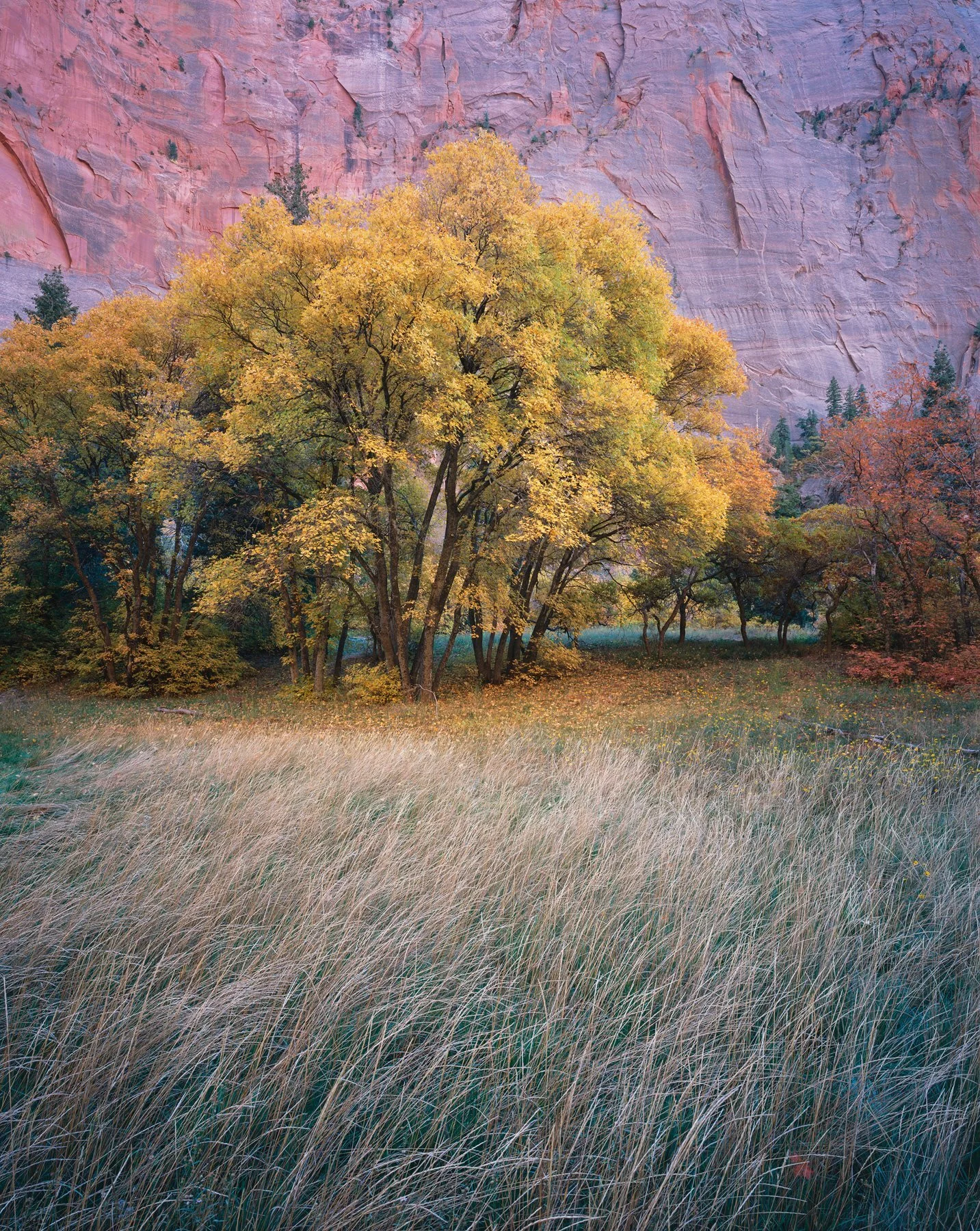 90510B38-D2B6-4D80-B095-1FF8FC9AF1DE