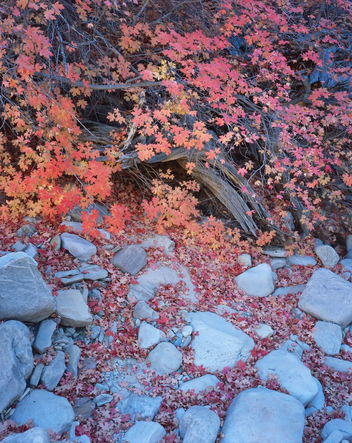 C5AB209E-C644-4374-8F26-98A1958820F7