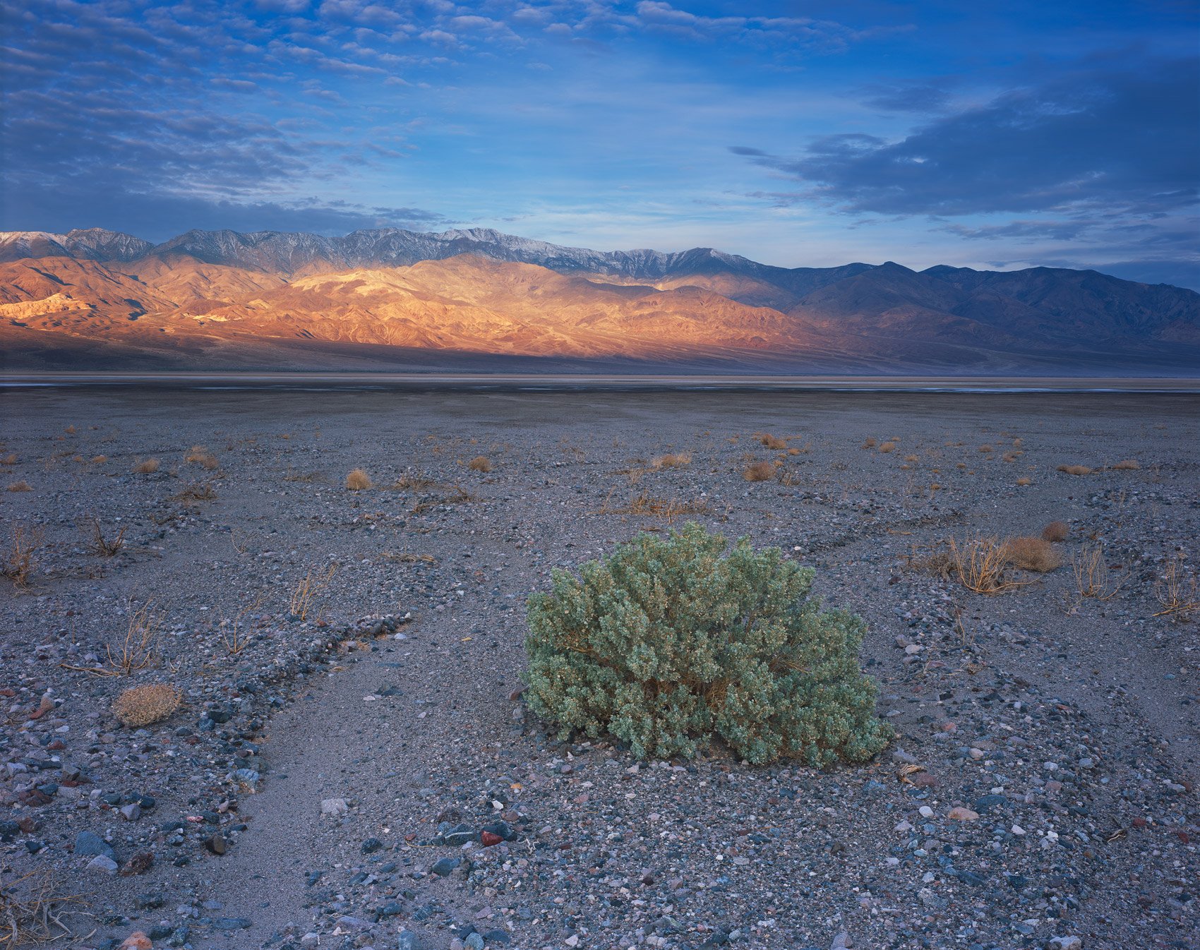 Abundant Life | Death Valley, California (2025)