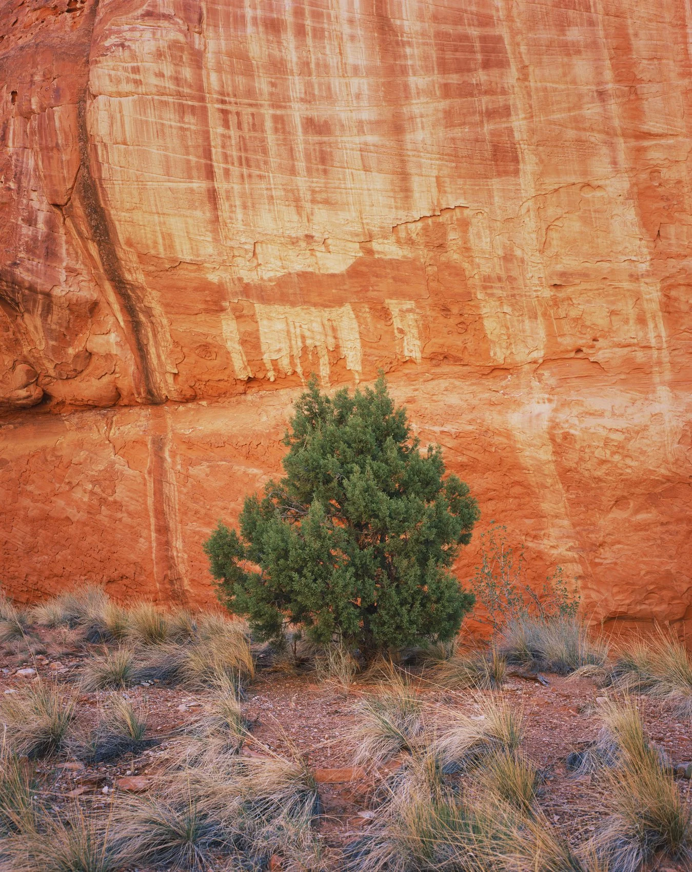 Untouched | Glen Canyon, Utah (2025)