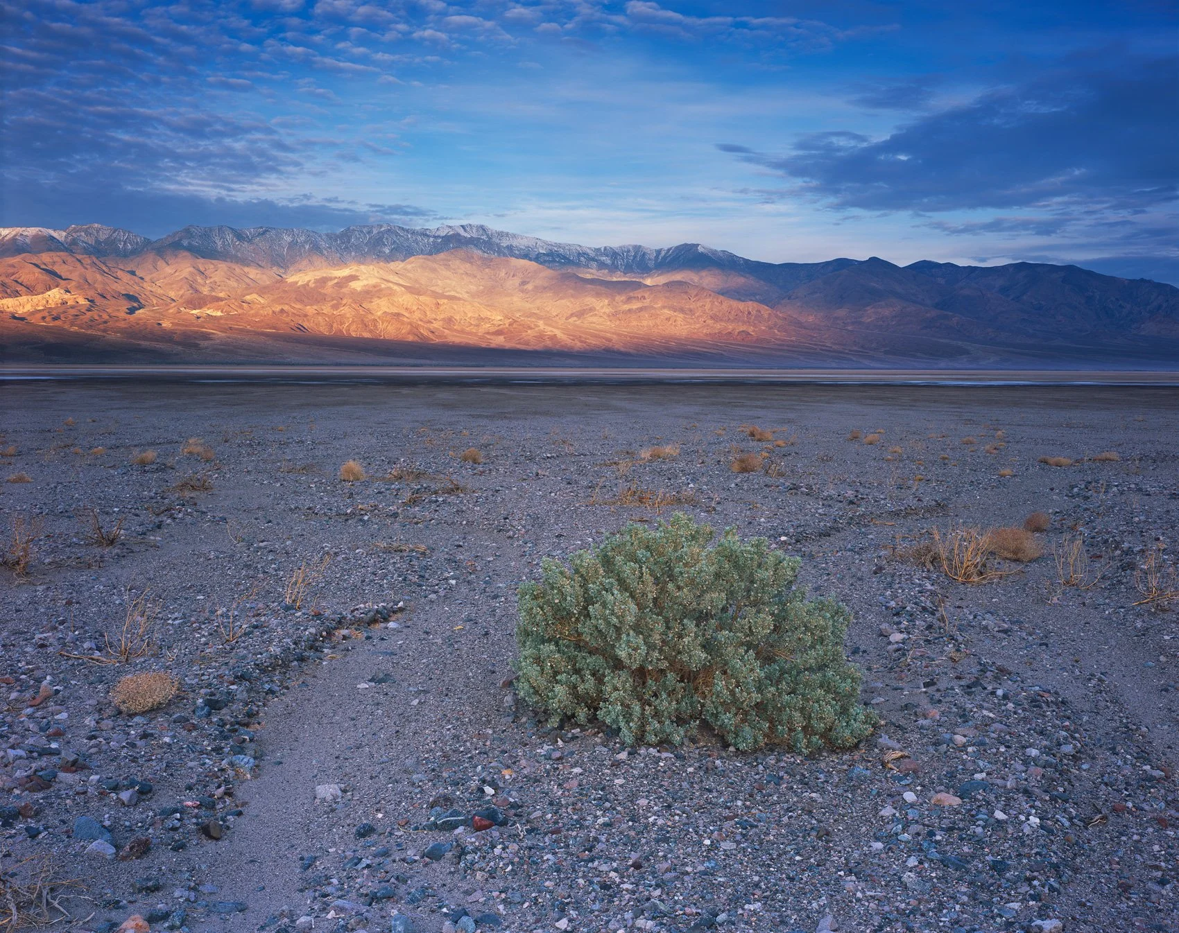 Abundant Life  | Death Valley, California (2025)