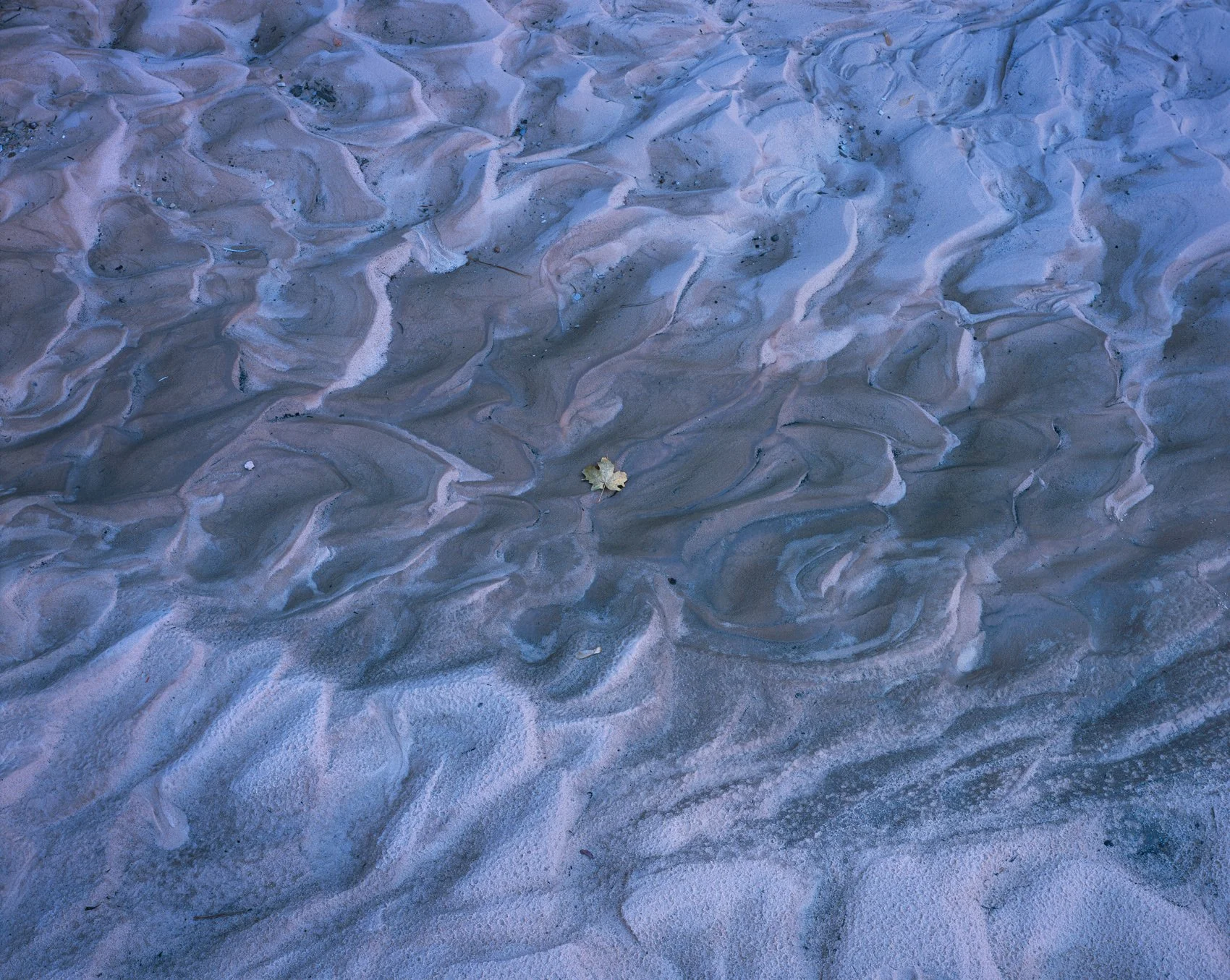   Lost at Sea  | Zion National Park, Utah (2025) 