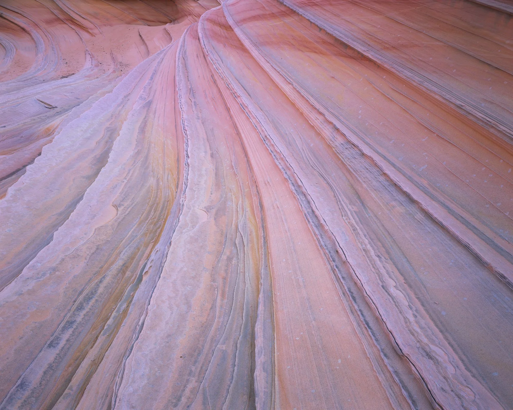   Wind-carved  | North Coyote Buttes, Arizona (2025) 