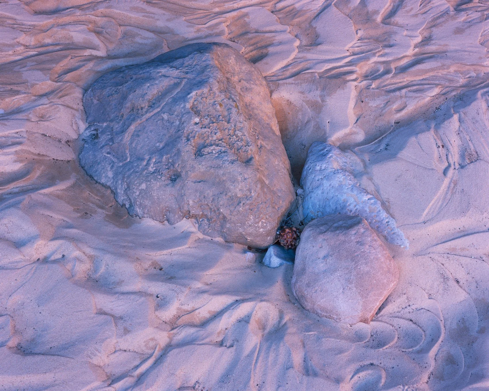   Flow State  | Zion National Park, Utah (2025) 