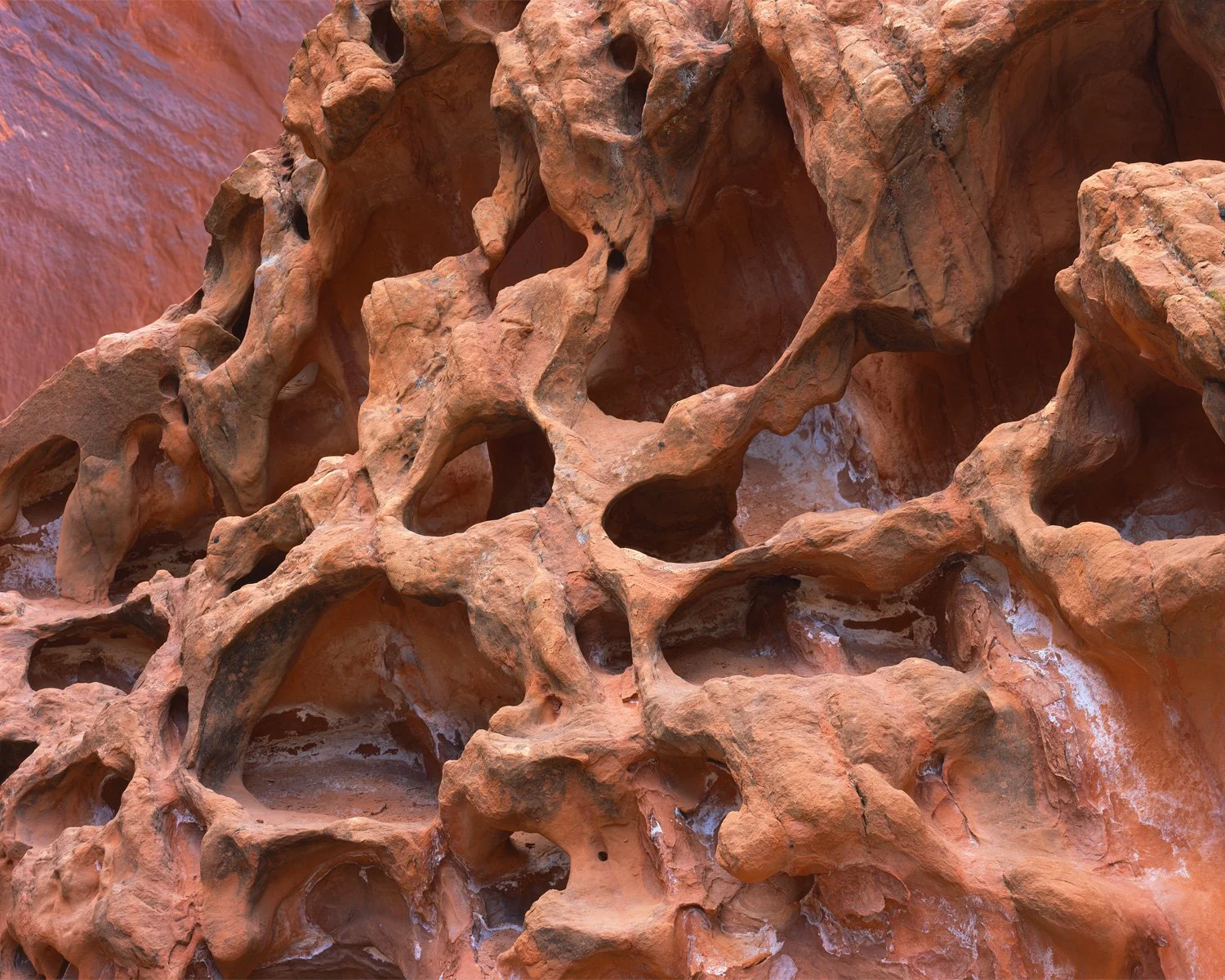   Jabba the Rock  | Glen Canyon, Utah (2026) 