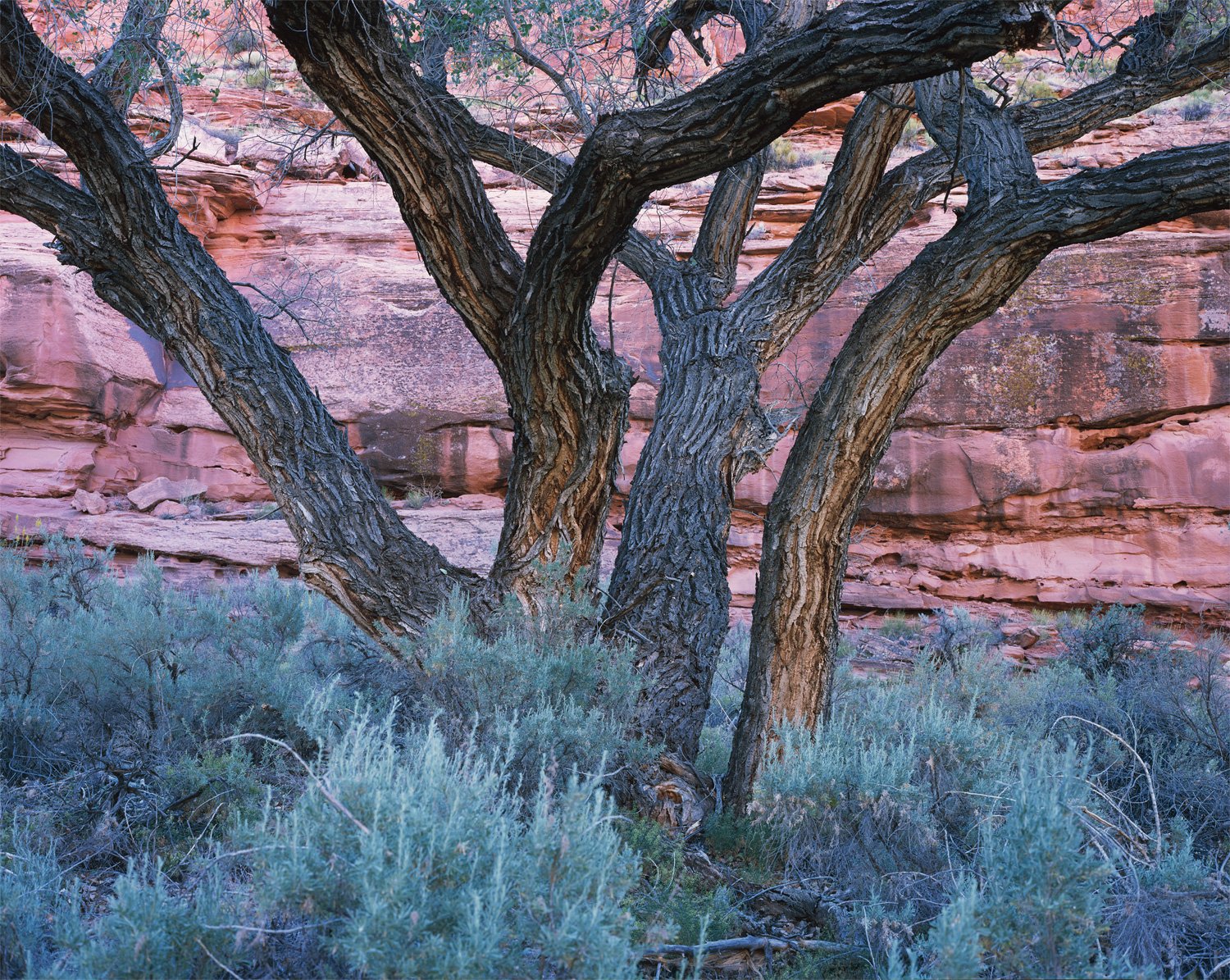   Structure   | Glen Canyon, Utah (2026) 