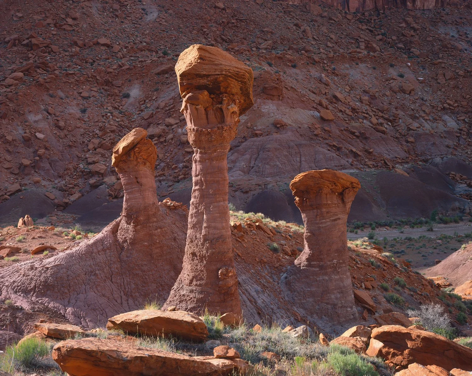   Towers of Strength  | Glen Canyon, Utah (2026) 