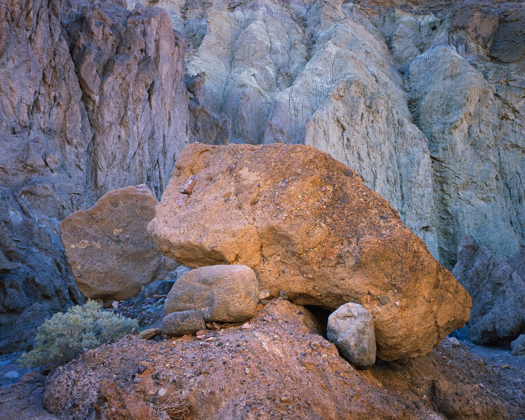 canyon_cornucopia.jpg