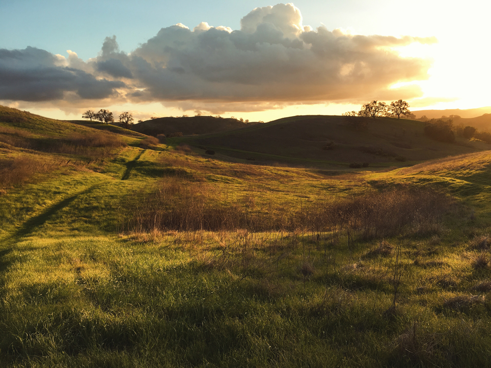 I went on a couple long lazy walks, a couple each day as it neared ten days past the 'due date'.