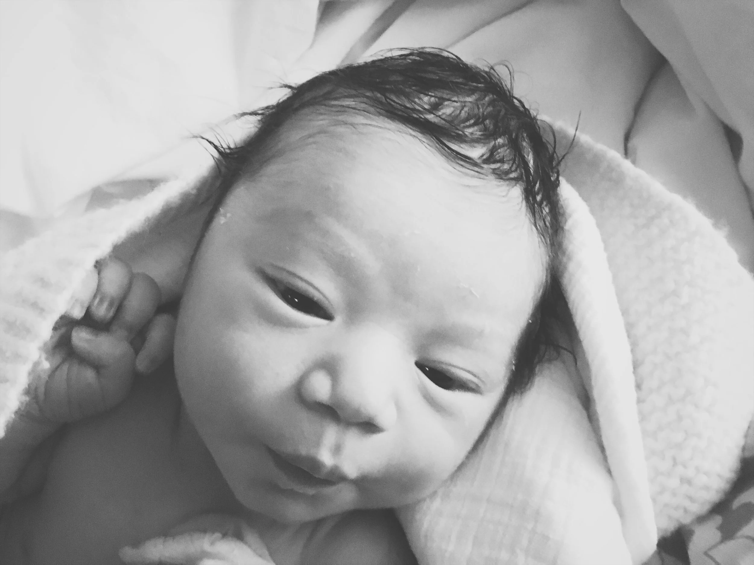 Mateo7.jpg