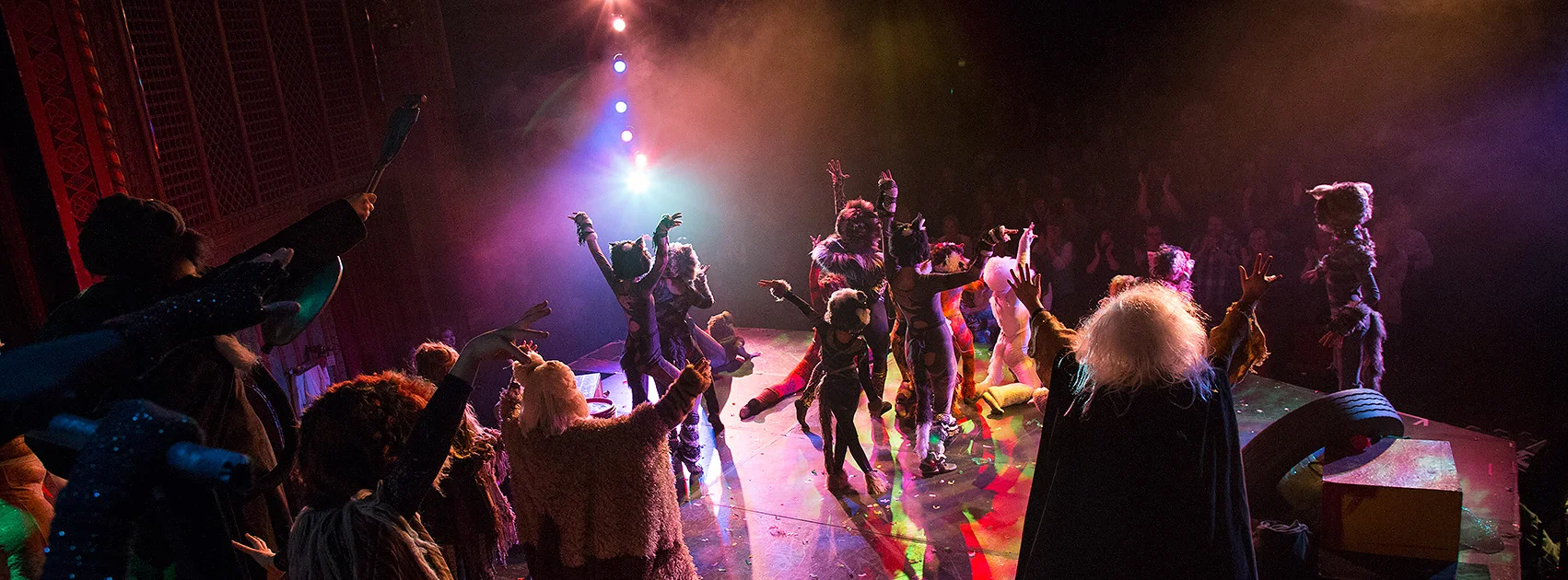 CATS-encore.jpg