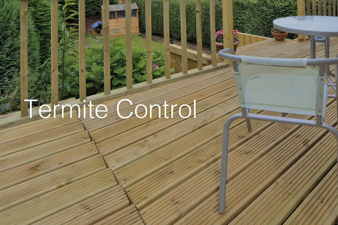 Termite-Control.jpg
