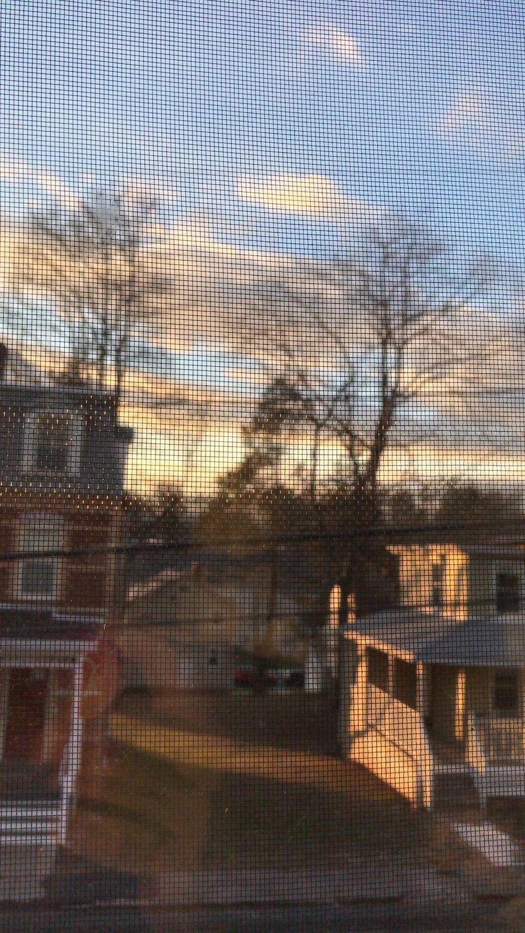 Someday I'll Love Sage Marshall