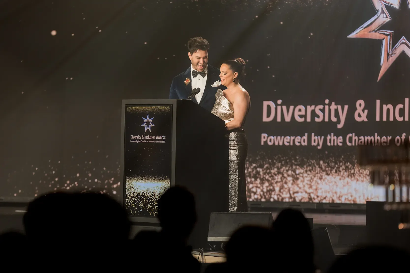 MC D&amp;I Awards 2025