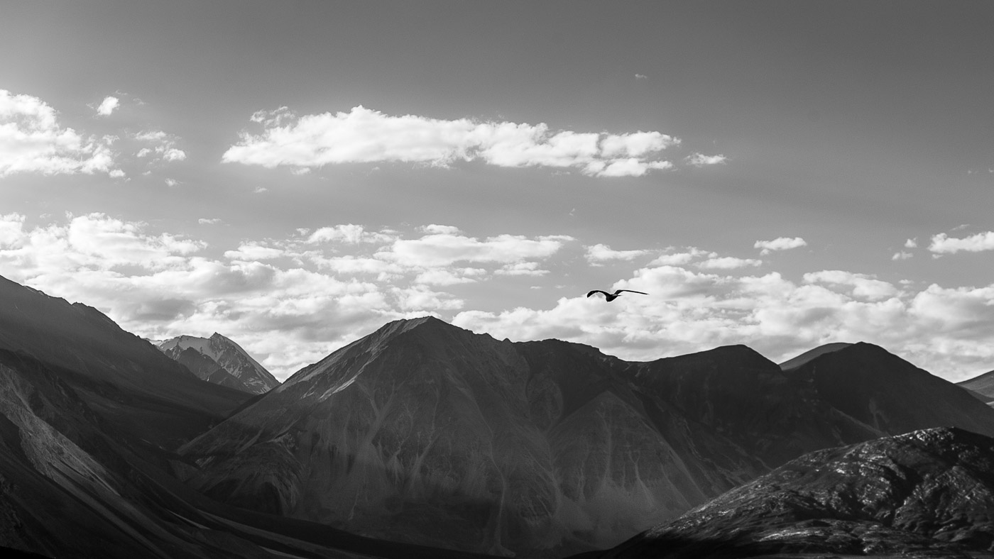 Leh_0030.jpg