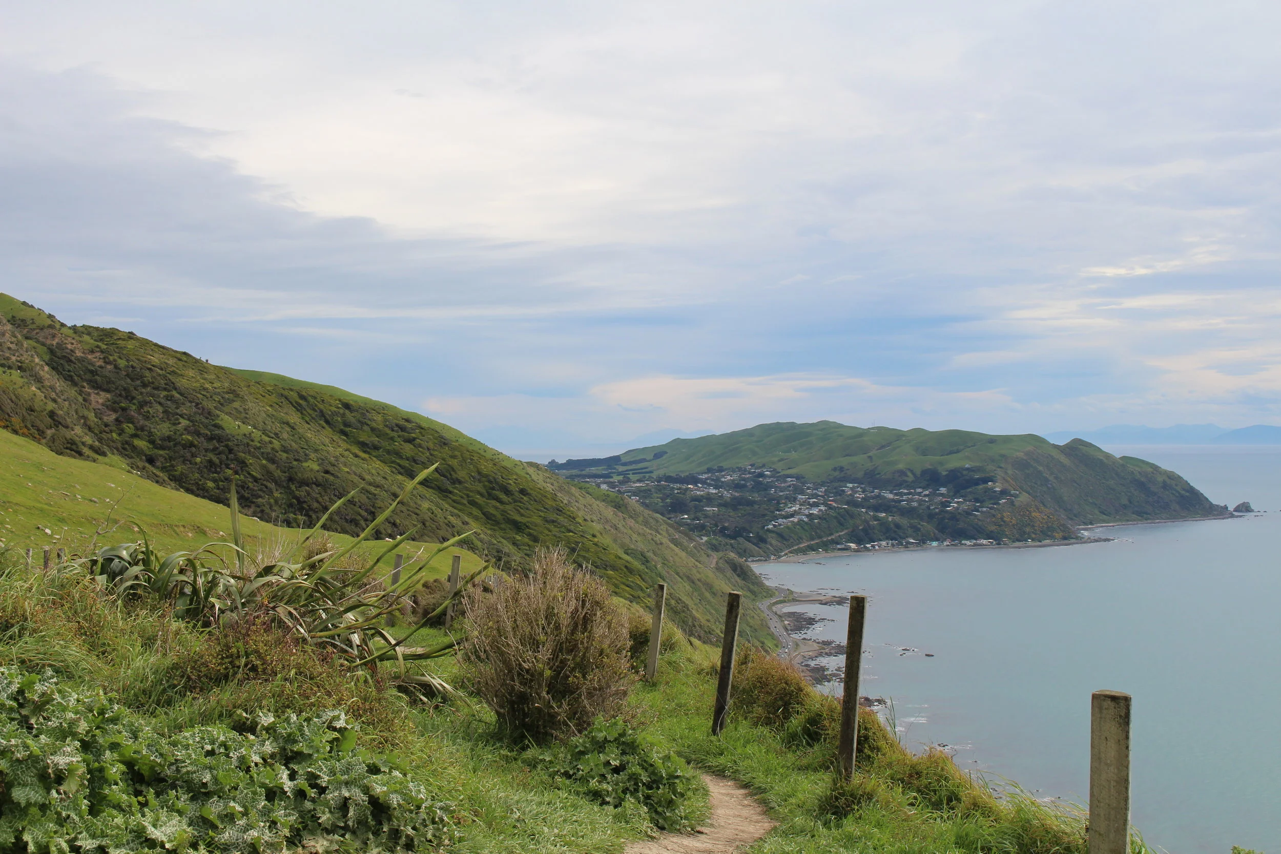 kapiti-13