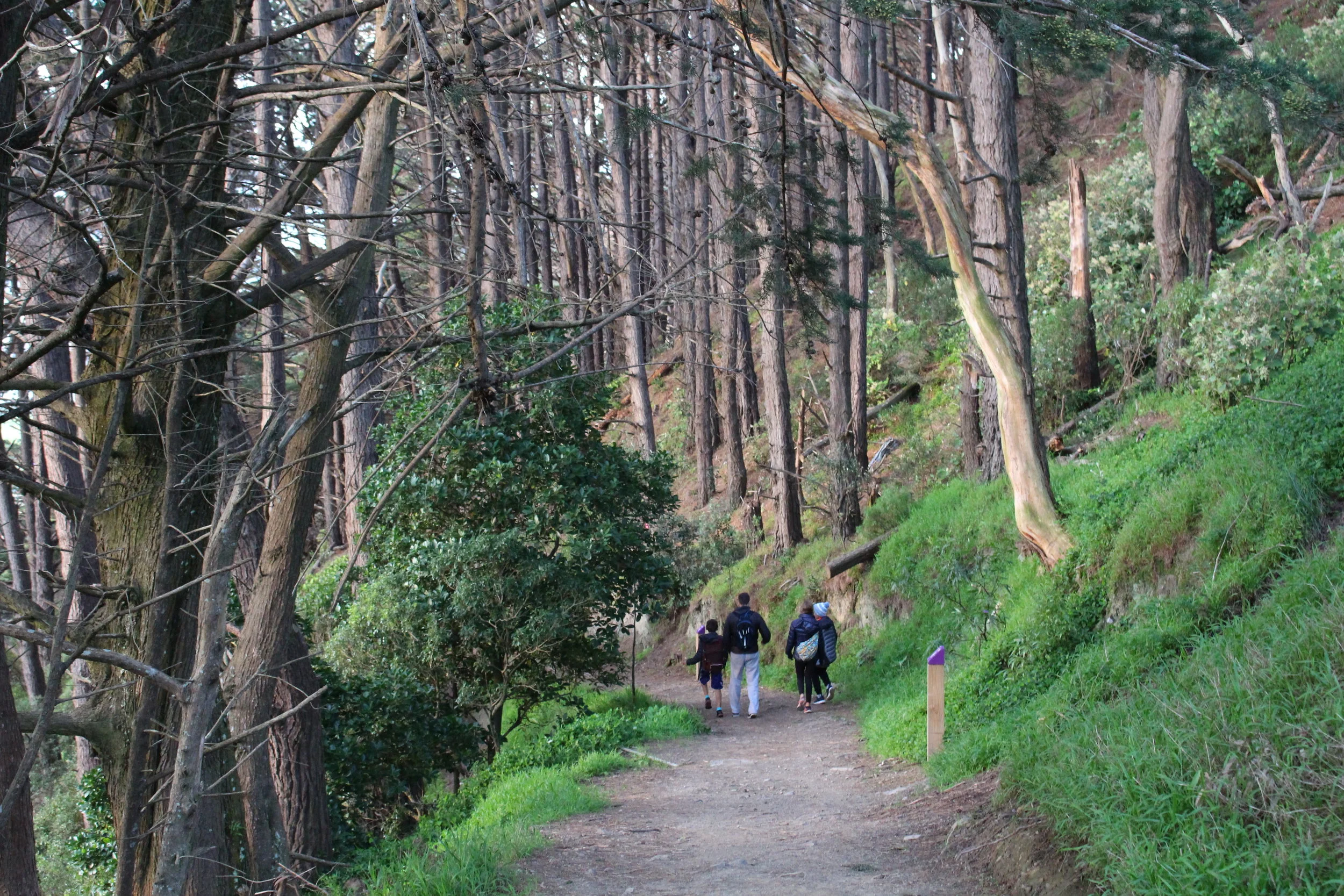 mt-victoria-hike-3