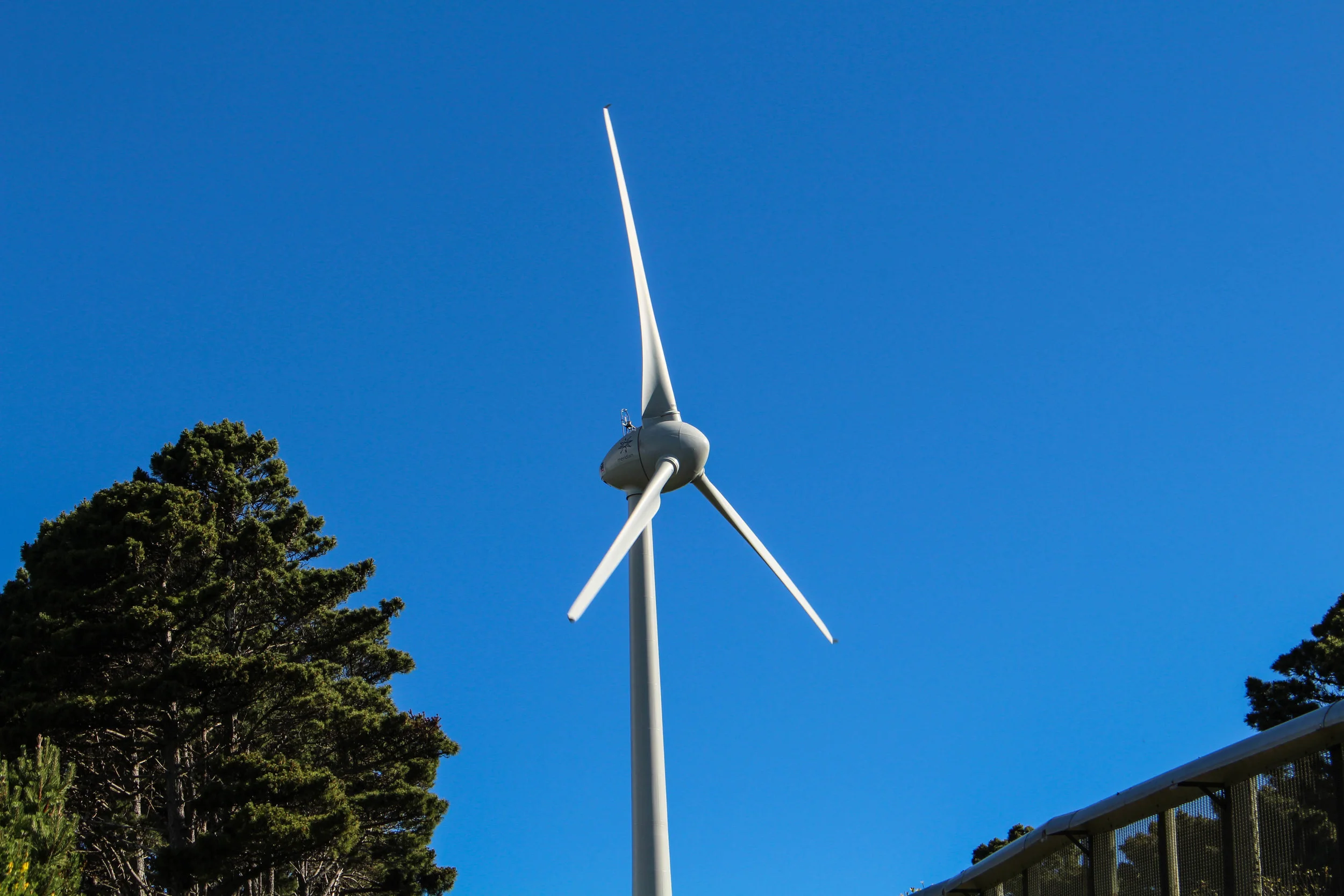 wind-turbine-1-of-1.jpg