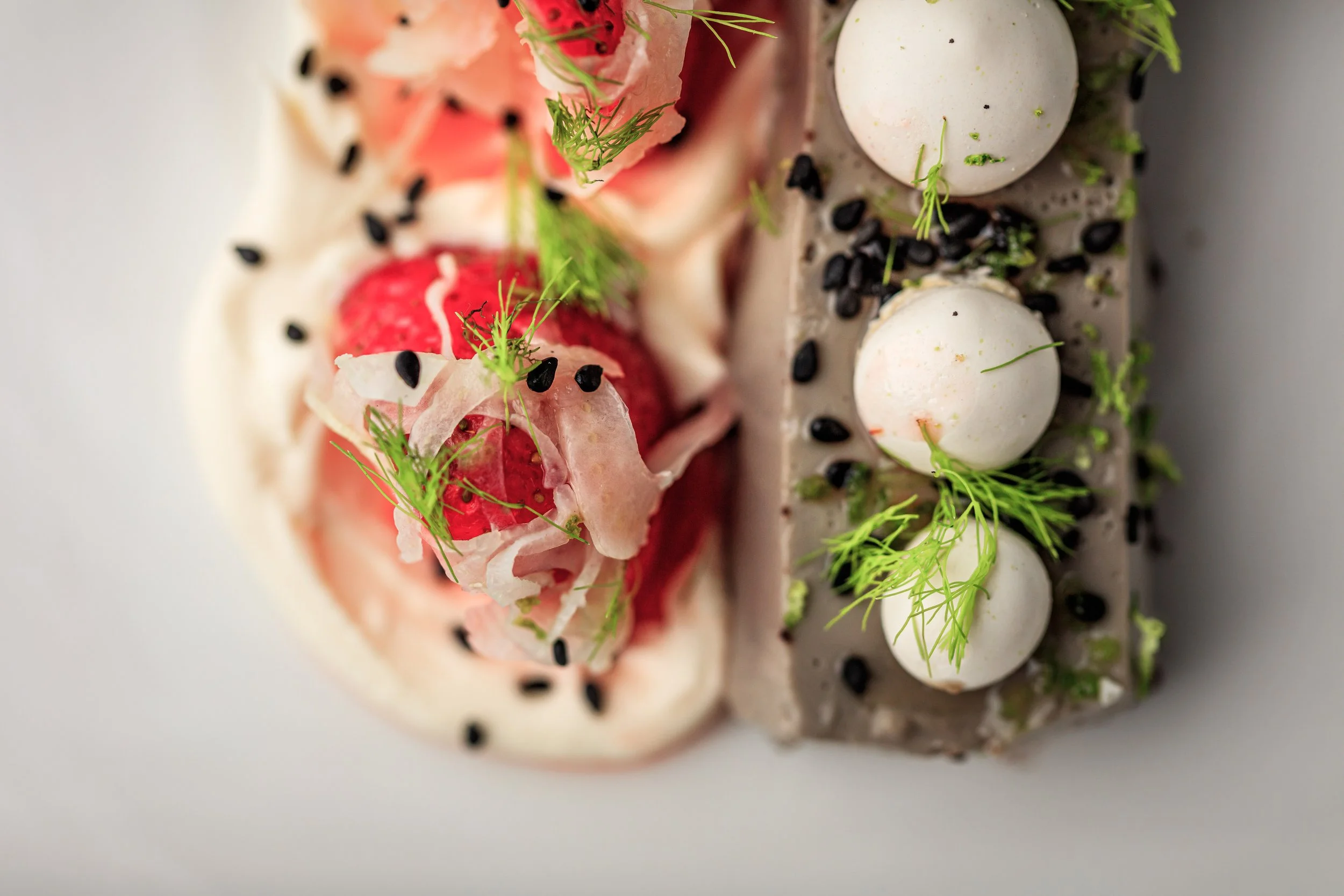 copyright faydit photographyvi20duende-2916.JPG