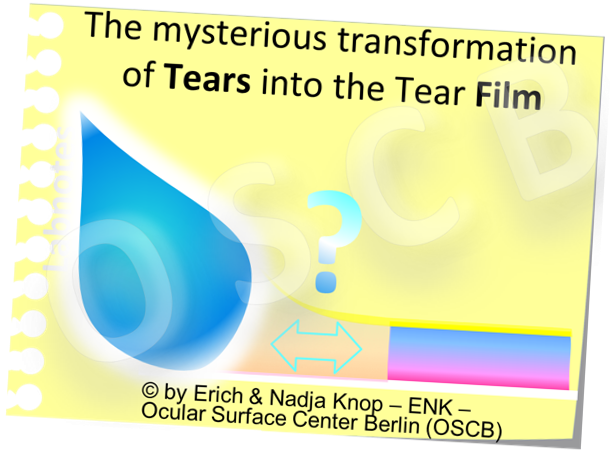 OSCB-Bild_1.2._The MYSTERIOUS TRANSFORMATION of TEARS into the Tear FILM .png