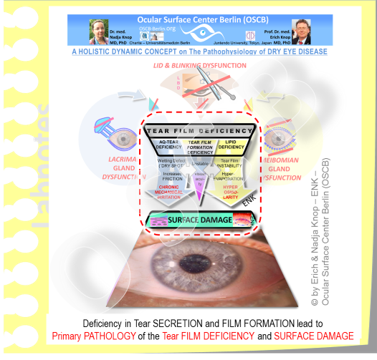 The main PRIMARY Pathologies in Dry Eye Disease are Tear Film Deficiency and Ocular Surface Tissue Damage.