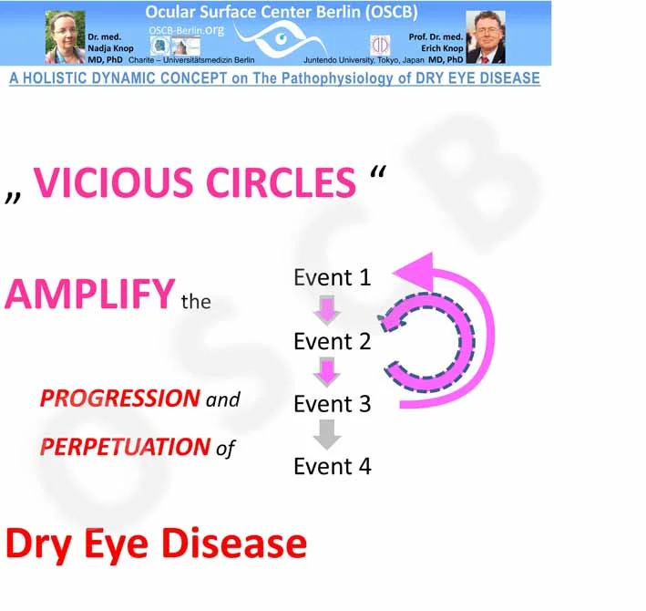 OSCB-BILD_Dry Eye Disease_VISCIOUS CIRCLES - Schema_Folie86_25cm-72dpi.jpg