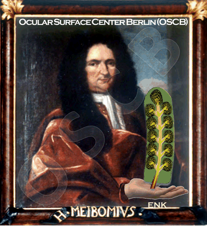 Here we see Heinrich MEIBOM , the first detailed describer of the Glands that later received his name, on his probably best known portrait painting. We have added the animation of a Dancing Meibomian Gland for his and our pleasure, as he was an academic of distinction and good humor. He was Professor for Medicine, History and Poetry at the University of Helmstedt in the middle of Germany. Heinrich Meibom lived from 1638 until 1700, came from a famous academic family and had extensively travelled around in Europe during his medical study time. He described the ´ Glandulae tarsales ´ in the year 1666 in a publication at the University of Helmstedt