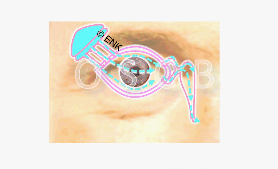 GIF FUNCTIONAL UNIT 8 für BANNER ZENTRIERT aus 7_..._TROCKENES AUGE___8)_NUR REGULATION 2_30-2fps_.gif