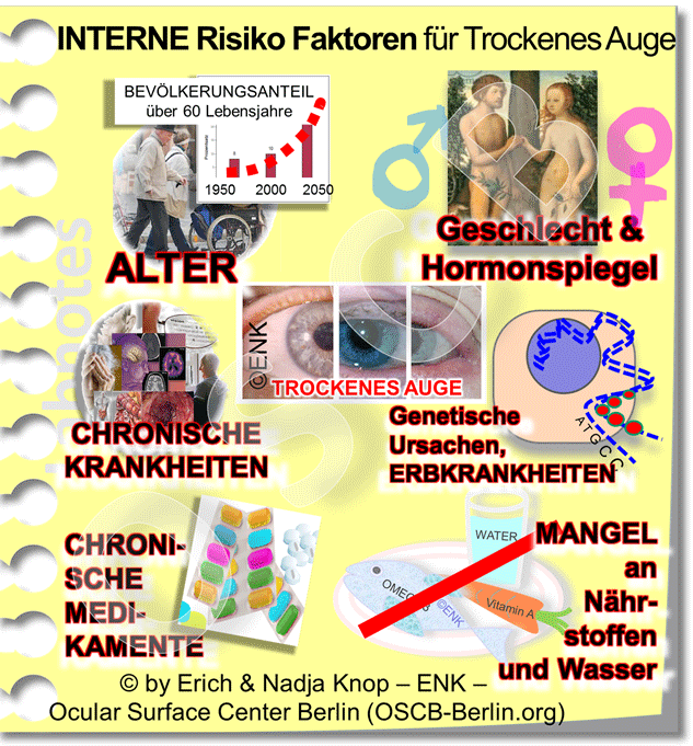 Verschiedene RISIKOFAKTOREN begünstigen das Auftreten eines Trockenen Auges . Dazu zählen neben erhöhten Lebensalter sowie vermindertem Spiegel männlicher Geschlechtshormone (Androgene) und erhöhtem Spiegel weiblicher Geschlechtshormone - ebenso chronische Erkrankungen und chronische Medikation, wie auch Mangel an bestimmten Nährstoffen (z.B. Omega-6-Fette) und ungenügende Trinkmenge.