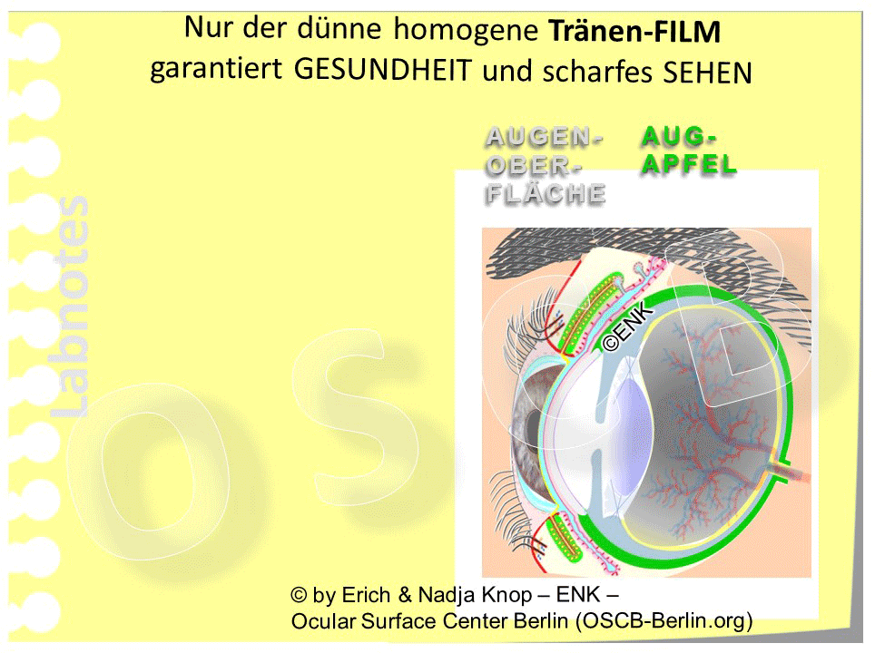 Die Transparenz der Hornhaut/ Kornea ist eine Vorbedingung für das Sehen aber sie ist noch nicht ausreichend für die Sehschärfe. Erst durch einen sehr dünnen und gleichmäßigen Tränenfilm wird die korrekte Lichtbrechung und eine perfekte Sehschärfe ermöglicht.