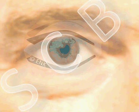 OSCB-GIF FUNCTIONAL UNIT 7, BLINZELN NEU 3x LANGS, NUR Blinzeln +LANGE auf mit TränenFILM_VOLLFORMAT_25-6fps_CROP - GUT.gif