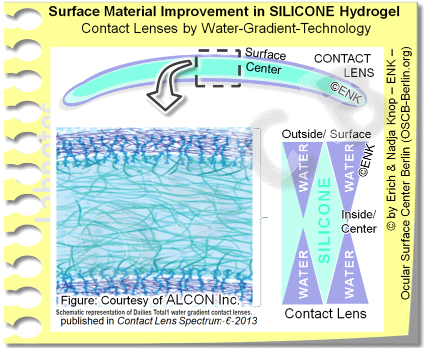 DEEPER INSIGHT into Contact Lenses HISTORY TYPES SCHEDULES
