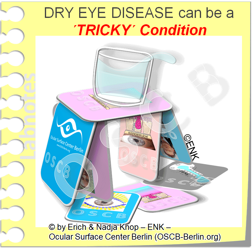 OSCB-Berlin.org_(c)ENK_Trockenes-Auge,-Dry-Eye-Disease,-Contact-Lens,-Kontaktlinse_BASIC-INDICATIONS-FOR-A-SCLERAL-CONTACT-LENS_DRY-EYE-DISEASE-can-be-TRICKY-Condition.gif