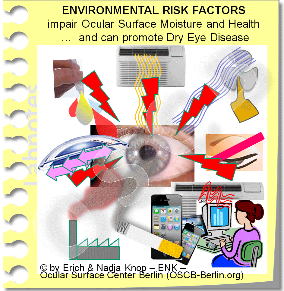 OSCB-Berlin.org_ENVIRONMENTAL-RISK-FACTORS-impair-Ocular-Surface-Moisture-and-Health-…--and-can-promote-Dry-Eye-Disease.gif