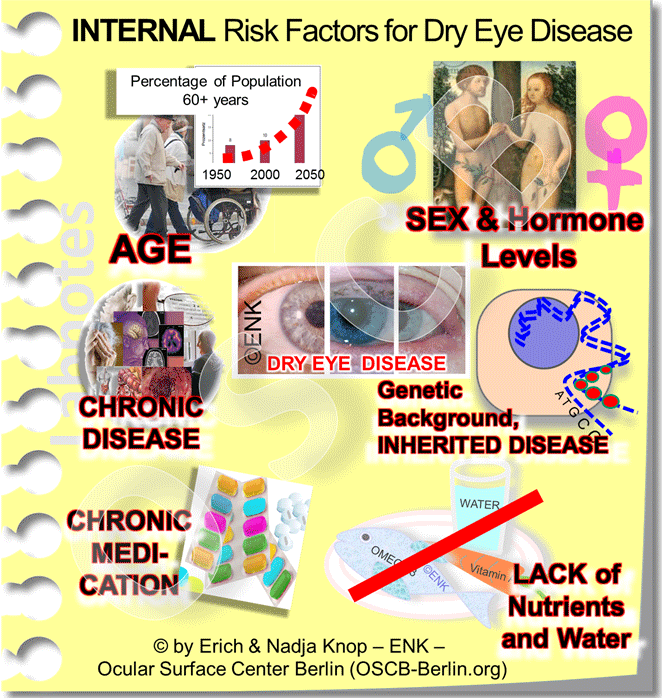 OSCB-Berlin.org_6_Dry-Eye-Disease_INTERNAL--RISK-FACTORS--for-Dry-Eye-Disease_NEU-quadratisch-2_WEB_.gif