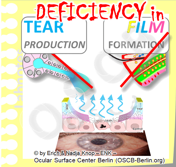 Copy of CAUSATIVE FACTORS