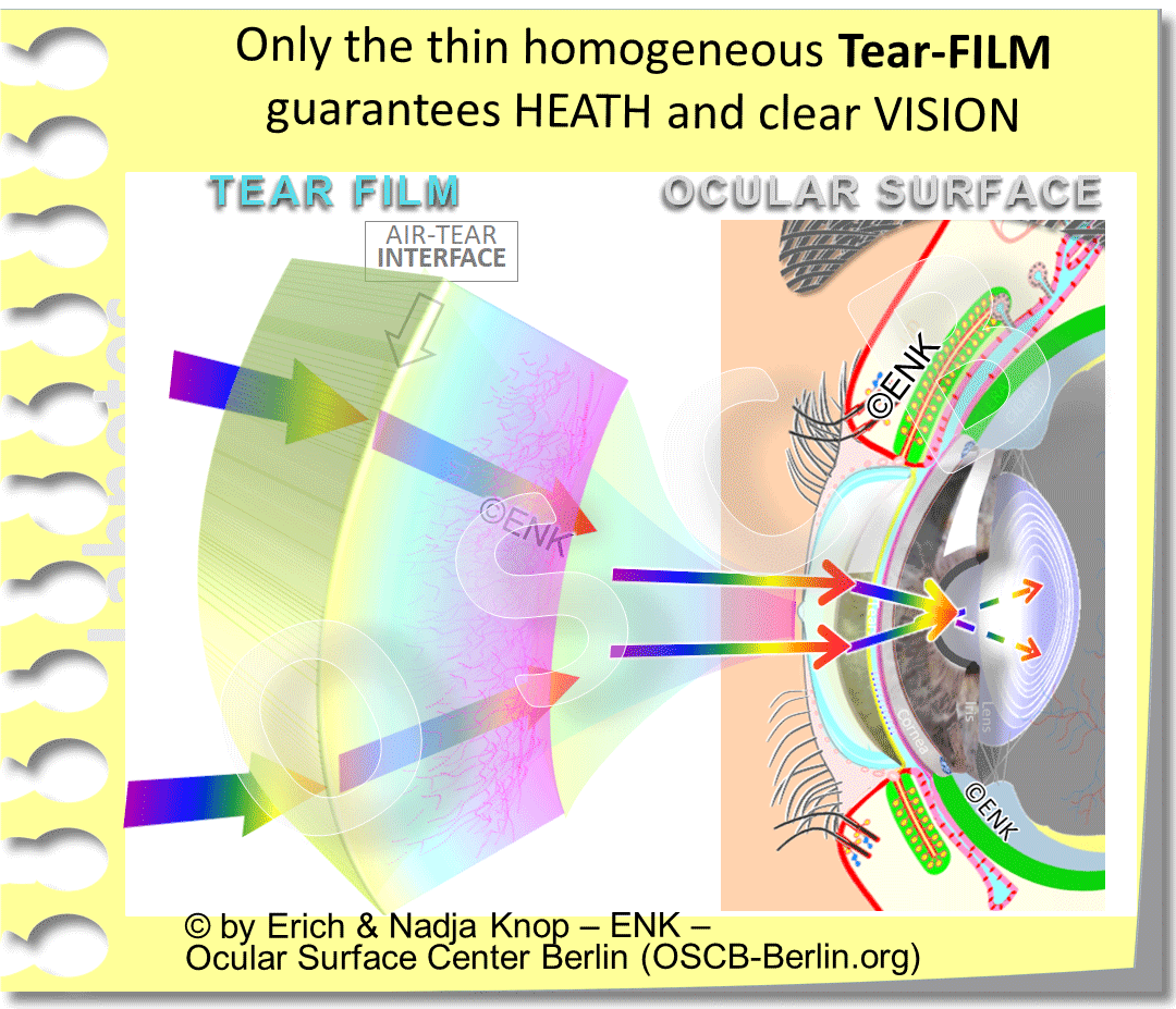 OSCB-Berlin.org_Dry-Eye-Disease,-Trockenes-Auge,-(c)ENK_Only-the-thin-homogeneous-Tear-FILM-guarantees-HEATH-and-clear-VISION-2x3D.gif