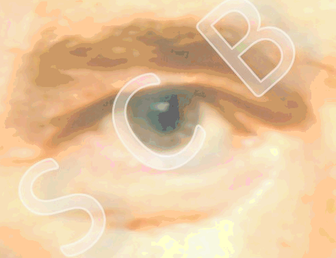 OSCB-GIF-FUNCTIONAL-UNIT-7-...+LÄNG.ÜBERgänge-+BLINZELN-NEU-+OSCB_3x-LANGS,-NUR-Blinnzeln-OHNE-Tränen_SAUBER_NUR-Auge_KURZ-+-INKOMPLETTER-LIDSCHLAG_491-15-0,4_.gif